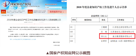 喜訊丨揚力集團總工程師仲太生榮獲“2018年度企業知識産權工作先進個人”榮譽稱号！